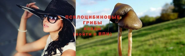 винт Арсеньев