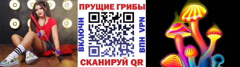 наркота Курган Галлюциногенные грибы Psilocybe