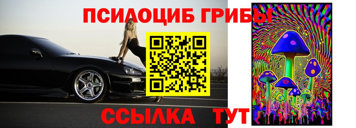 Галлюциногенные грибы GOLDEN TEACHER  Вход с VPN  Курган 